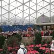 2012-Christmas-Concert-at-the-Milwaukee-Domes-9