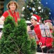 2012-Christmas-Concert-at-the-Milwaukee-Domes-15